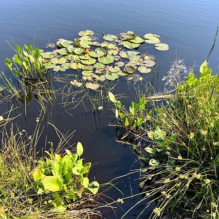 Landzicht Natuur Rust En Ruimte Oosterwolde (Friesland) Exterior foto