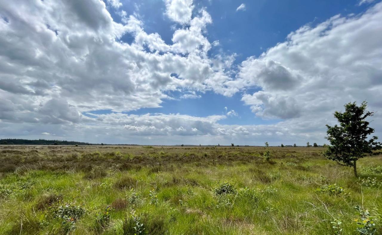 Landzicht Natuur Rust En Ruimte Oosterwolde (Friesland) Exterior foto