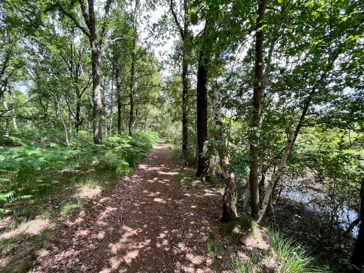 Landzicht Natuur Rust En Ruimte Oosterwolde (Friesland) Exterior foto