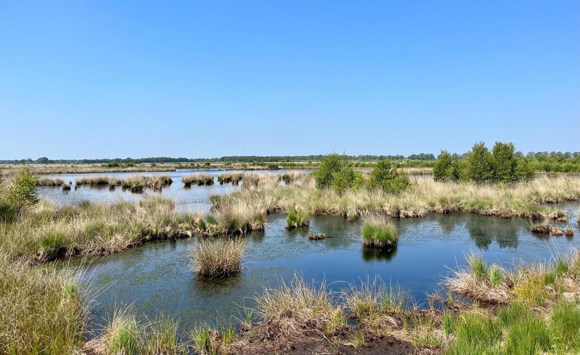 Landzicht Natuur Rust En Ruimte Oosterwolde (Friesland) Exterior foto